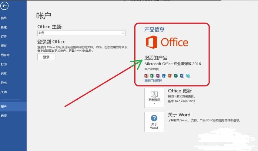 Office 2010激活指南，详细步骤与常见问题解决方案